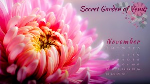 secret-garden-of-venus-1736430_1280
