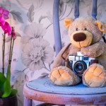 teddy-bear-1710641_1280